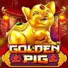 Golden Pig